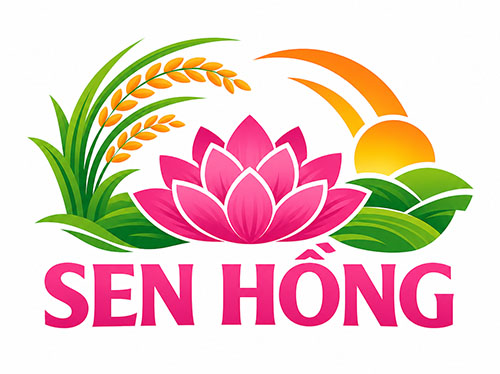 gạo sen hồng